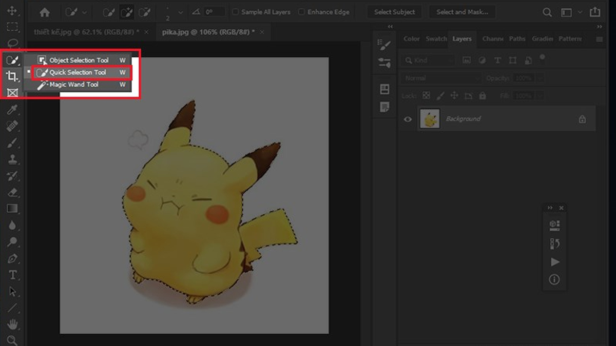 Quick Selection Tool