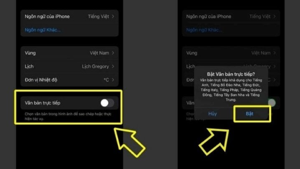 Dịch văn bản trực tiếp trên iPhone