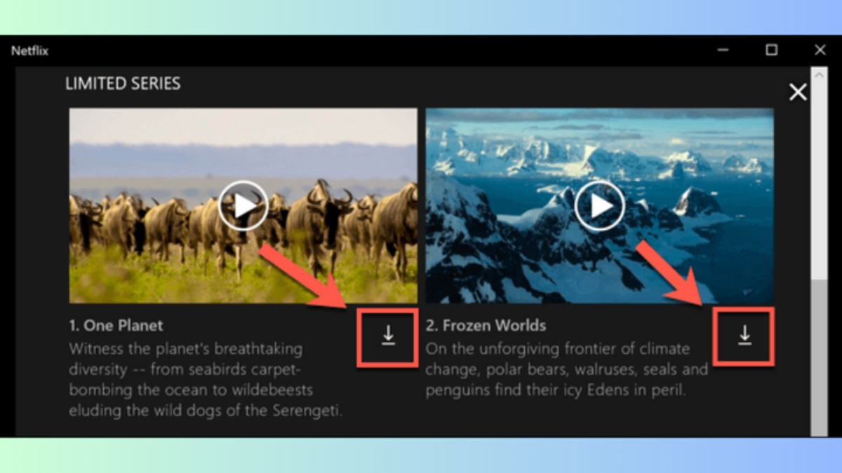 Nhấn vào biểu tượng tải xuống