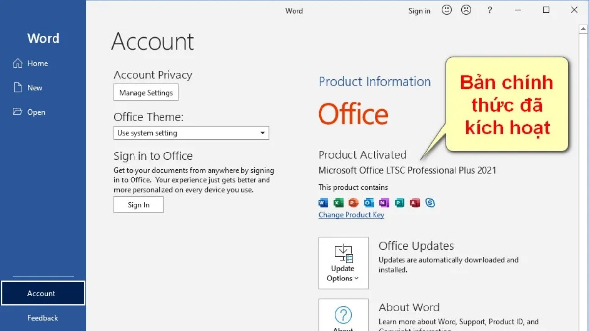 Microsoft Office 2021 Pro Plus đã được kích hoạt