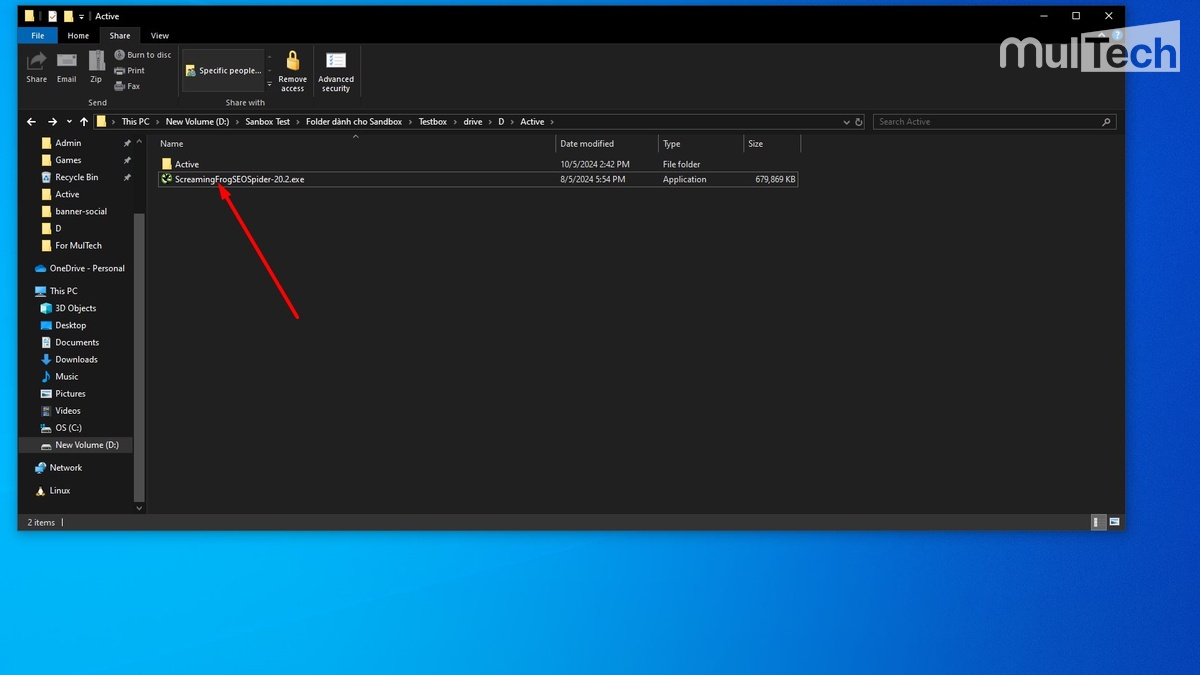 Chạy file "ScreamingFrogSEOSpider-20.2.exe"