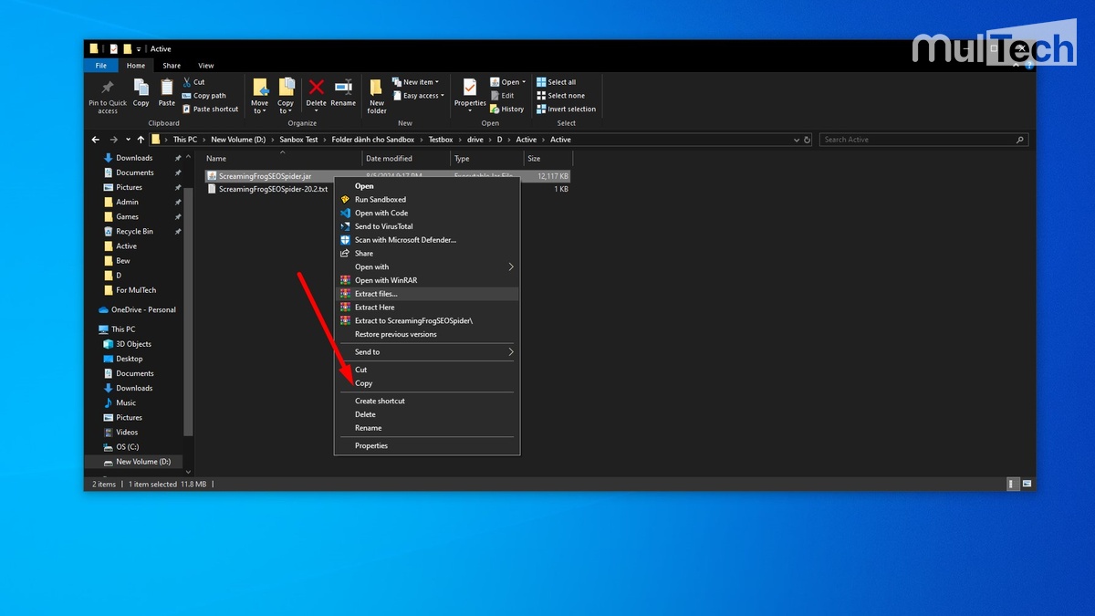 Copy file "ScreamingFrogSEOSpider.jar" trong thư mục Active